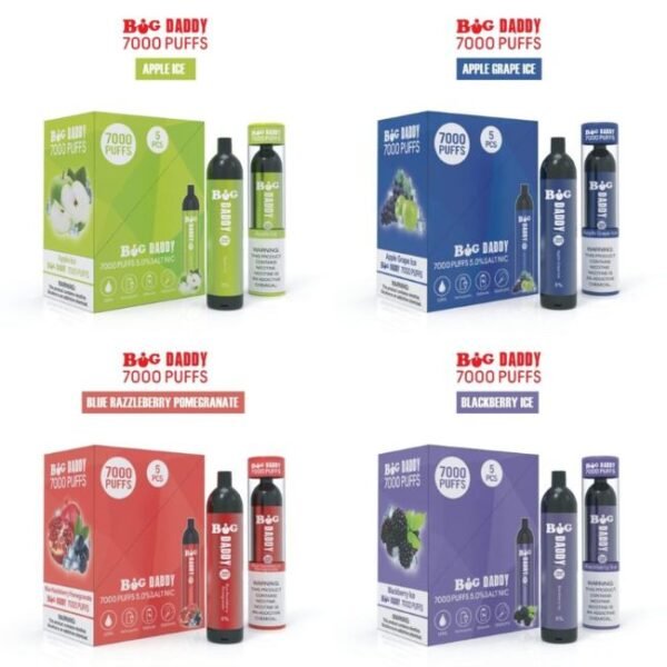 BIG DADDY 5% RECH. DISPO (80ML) 7K PUFFS 5CT/ BOX