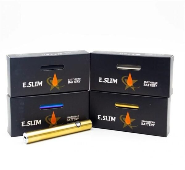 ESLIM 3800 mAh BATTERY WITH USB