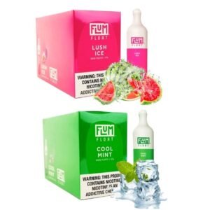 FLUM FLOAT DISPOSABLE 3000 PUFFS (80ML) 10CT/BOX