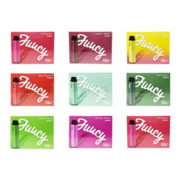 JUUCY MODEL X DISPOSABLE 1600 PUFFS (30ML) 5CT / BOX