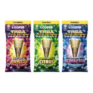 LOOPER THCA LIVE ROSIN DIAMONDS 1GM 2PK /10CT BOX PRE ROLLS JOINTS