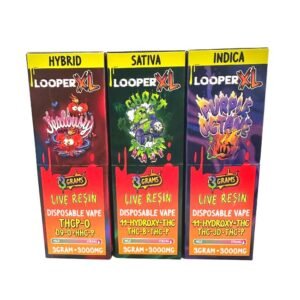 LOOPER XL LIVE RESIN 3GM DISPO 5CT/BOX