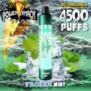 POWER SMACK (100ML) 4500PUFFS DISPOSABLE