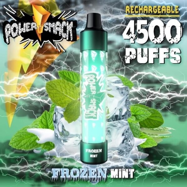 POWER SMACK (100ML) 4500PUFFS DISPOSABLE