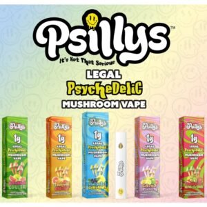 PSILLYS PSYCHEDELIC 1GM MUSHROOM DISPOSBALE 5CT/BOX