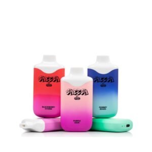 SHEESH BY FIZZ 6000 PUFFS (70ML) DISPOSABLE 5CT/PACK