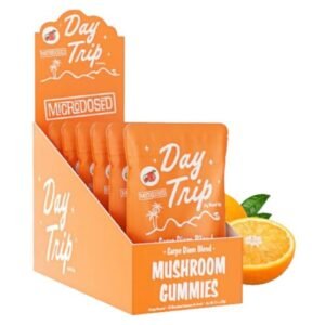 ROAD TRIP MICRODOSED BLEND MUSHROOM GUMMIES 20CT/BAG - 6CT/DISPLAY (ORANGE)