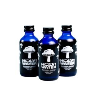 HOLY WATER EUPHORIC ENERGY MUSHROOM + NOOTROPIC 2OZ BOTANICAL EXTRACT TONIC 12CT/ BOX