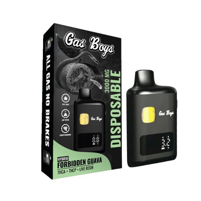 GAS BOYS THC-A + THC-P + LIVE RESIN 3GM DISPOSABLE VAPE 6CT BOX GAS BOYS THC-A + THC-P + LIVE RESIN 3GM DISPOSABLE VAPE 6CT BOX