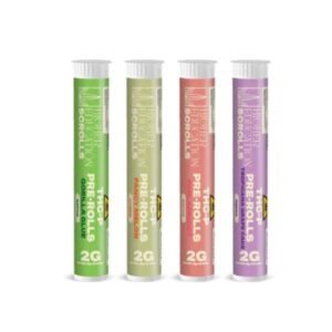 HIGHER EDUCATION SCROLLS (FL COMPLIANT) THC-P 2GM PRE ROLLS 20CT DISPLAY