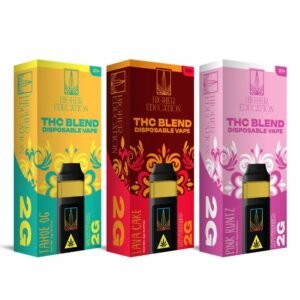 HIGHER EDUCATION THC BLEND 2GM DISPOSABLE VAPE 5CT DISPLAY