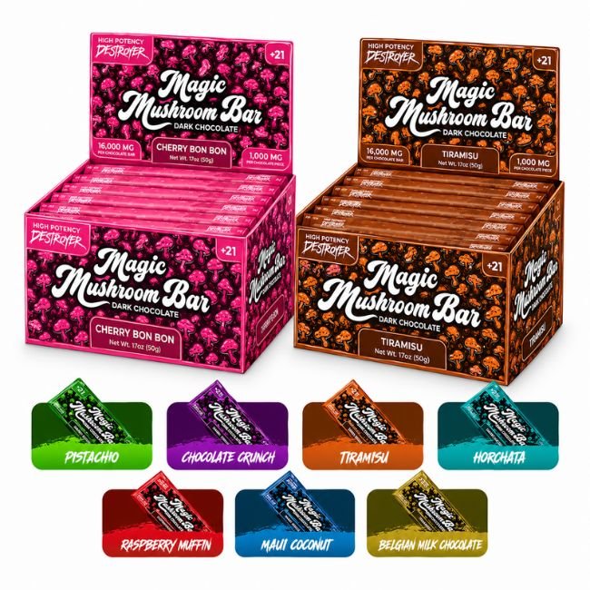 DESTROYER MUSHROOM CHOCOLATE BAR SINGLE DESTROYER MUSHROOM CHOCOLATE BAR SINGLE